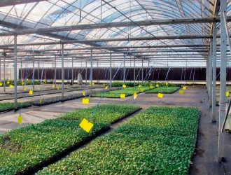 我國農(nóng)業(yè)生產(chǎn)在物聯(lián)網(wǎng)應(yīng)用方面存在的難題及解決措施