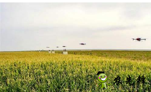 數(shù)據(jù)對于農(nóng)業(yè)存在什么影響