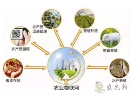 為農業插上翅膀,物聯網引領下一個農業時代!