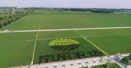 京東的這些“網(wǎng)紅”農(nóng)業(yè)項(xiàng)目，你都知道嗎？