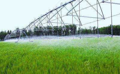 看農業物聯網如何助力節水農業發展