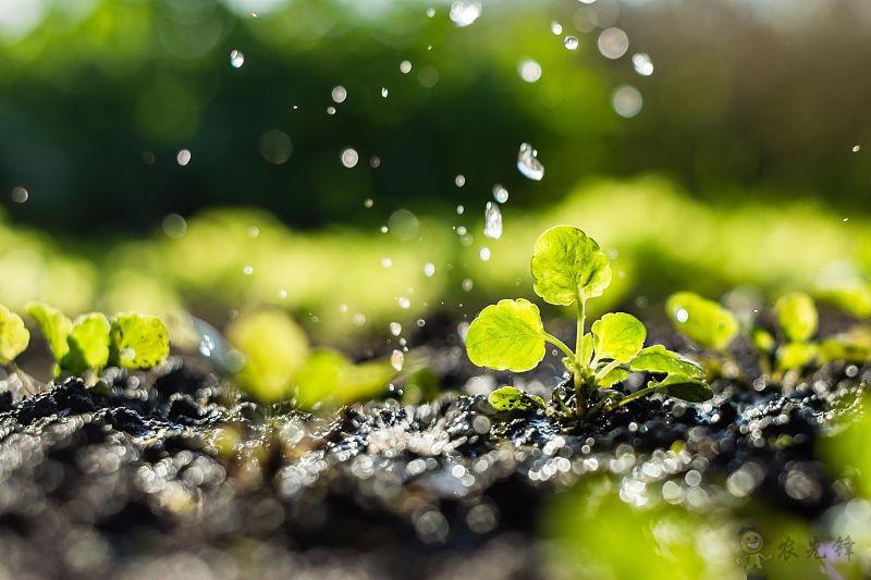 智慧農(nóng)業(yè)發(fā)展現(xiàn)狀:顛覆傳統(tǒng)不容易