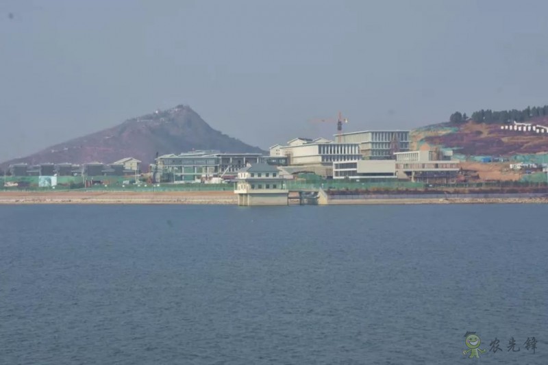 鄧興旺：我為何回國辦現(xiàn)代農(nóng)學？