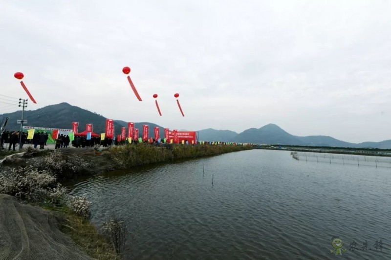 網易味央（三門）現代農業示范園正式開工！