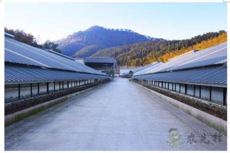 網易味央（三門）現代農業示范園正式開工！