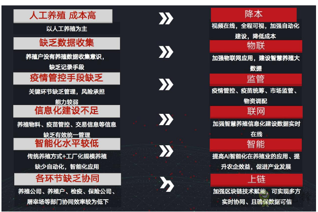 就連養豬都是智能化?現代農業還遠嗎?