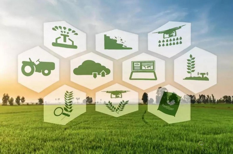 郭濤:解讀2020年中央一號文件 智慧農業助力鄉村振興