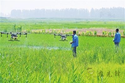 溫州農戶春耕&ldquo;新寵&rdquo;&mdash;&mdash;農業無人機