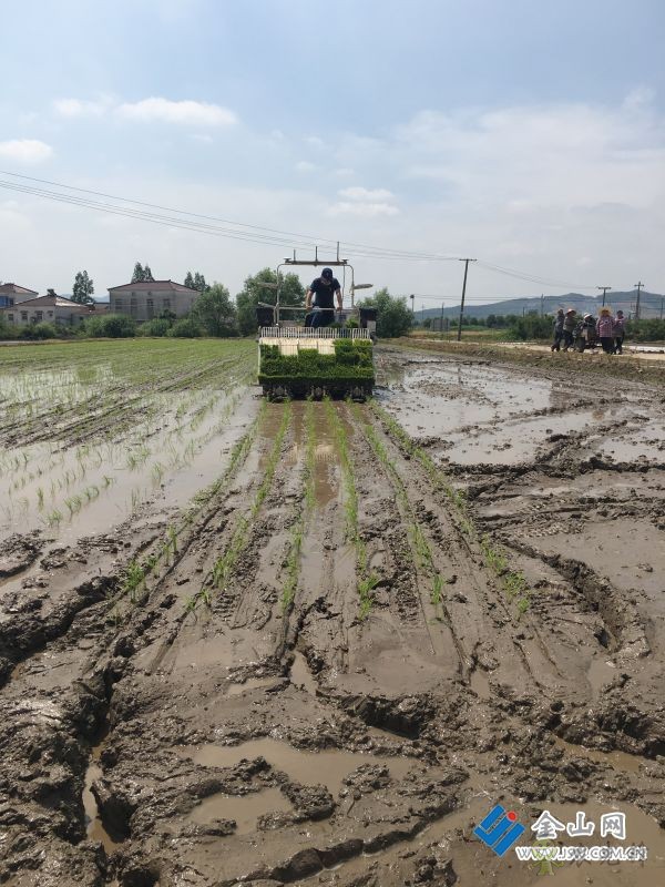 &ldquo;智慧農機&rdquo;助力夏收夏種的交響曲
