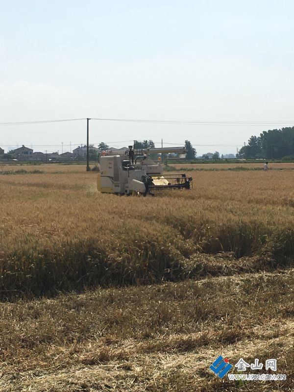 &ldquo;智慧農機&rdquo;助力夏收夏種的交響曲