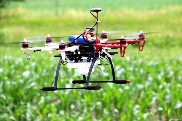 智慧農業其實也是自動化種植?