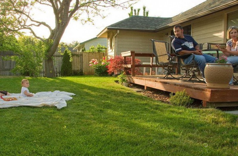 農(nóng)業(yè)模式