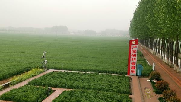 河南尉氏縣:5G+智慧農業 農田里有了這些“黑科技”