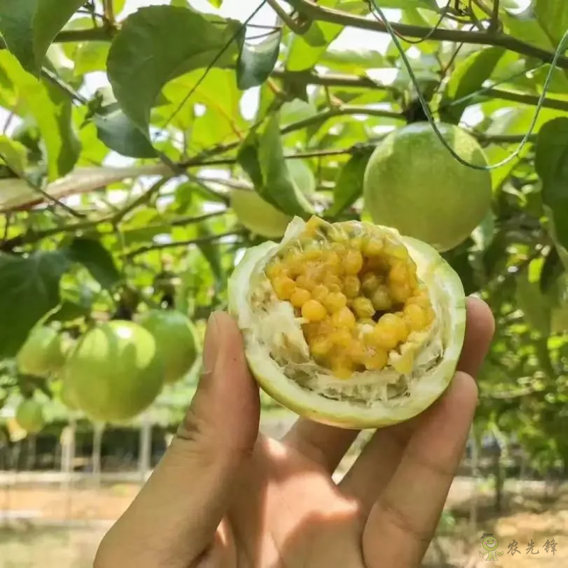 加快完善農村電商服務體系,農業農村電商展8月福州舉辦