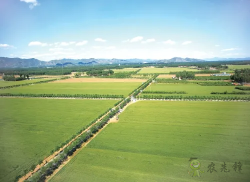 北京市率先從省級層面全面推行&ldquo;田長制&rdquo;&mdash;&mdash;四級田長共護(hù)首都耕地