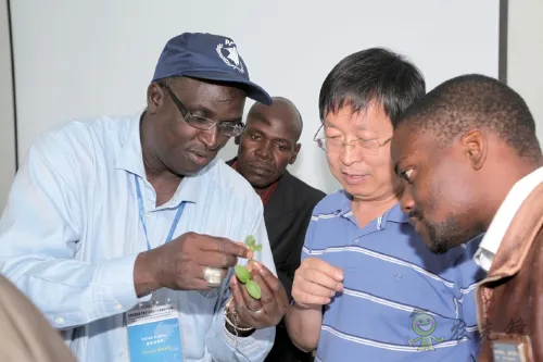 楊凌：強化使命擔當　交好&ldquo;上合答卷&rdquo;