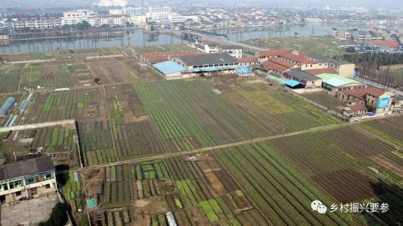 賀雪峰:未來十五年鄉村振興的時空維度、社會條件及預測