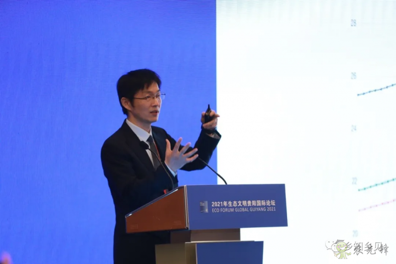 中國社科院張永生:鄉村振興必須跳出傳統的“農村”概念