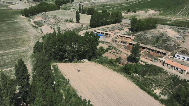 新疆 4 萬畝楊樹林蟲害爆發(fā)，極飛農(nóng)業(yè)無人機升空阻擊