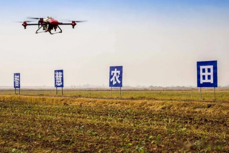 農業農村部：全力推進高標準農田建設，實施智慧農業