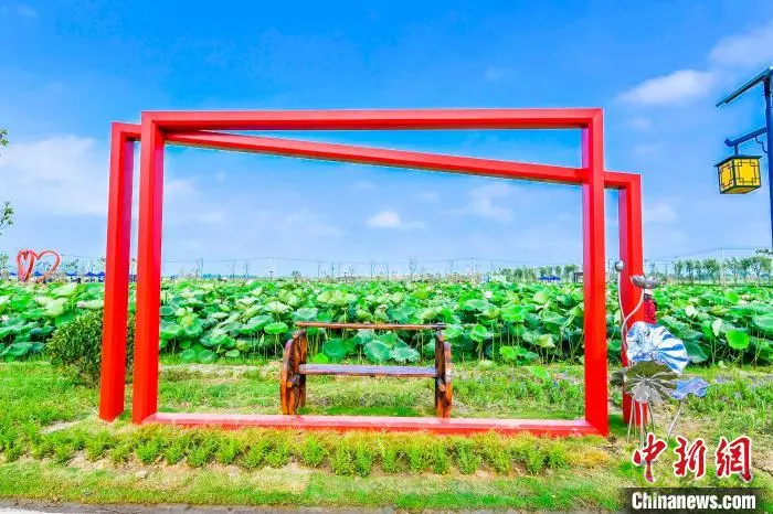 肥西:以“荷”為媒 打造鄉村生態旅游產業