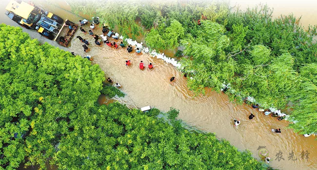 【觀點(diǎn)】建好農(nóng)村應(yīng)急防御機(jī)制，才能與極端天氣短兵相接