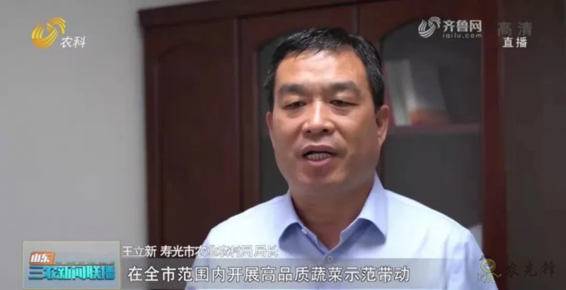 “壽光標準”向全國輸出 推動蔬菜產業(yè)提檔升級