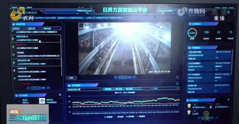 山東日照: 智慧養(yǎng)殖新模式 36萬(wàn)只肉雞養(yǎng)殖不犯難