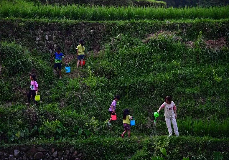 賀雪峰：未來 15 年， 鄉(xiāng)村振興關(guān)鍵在保底