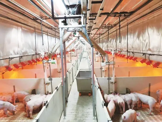 江蘇描繪現代畜牧業高質量發展的&ldquo;現實模樣&rdquo;