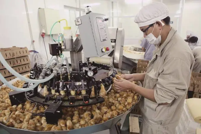 江蘇描繪現代畜牧業高質量發展的&ldquo;現實模樣&rdquo;