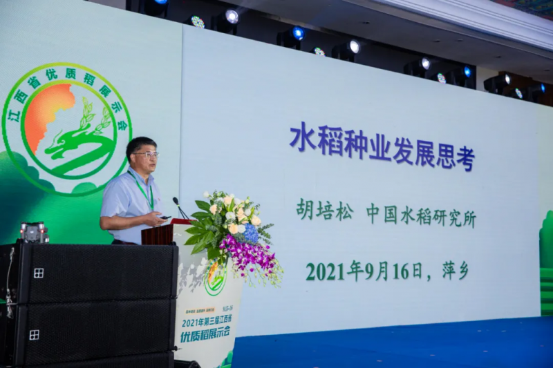 李立秋:種業振興,難題怎么解?