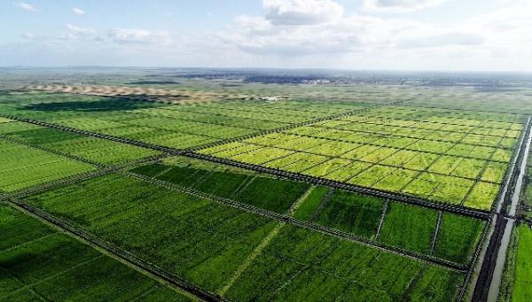 “中國農(nóng)技”“中國農(nóng)機(jī)”“中國農(nóng)場(chǎng)”助力非洲農(nóng)業(yè)發(fā)展