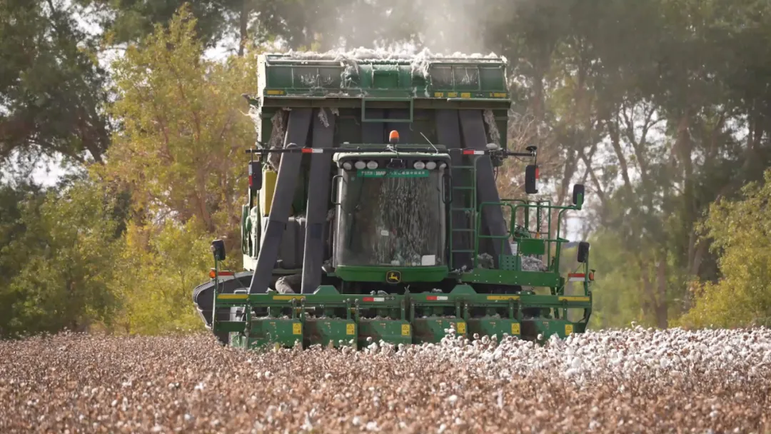 種棉“游戲”——新疆尉犁縣“90后”的無(wú)人農(nóng)場(chǎng)印象