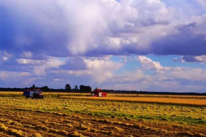 中國農(nóng)業(yè)的智慧升級路:未來小農(nóng)戶將成高收入群體