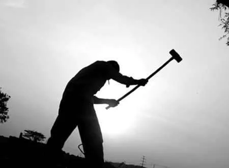 中國農(nóng)業(yè)的智慧升級路:未來小農(nóng)戶將成高收入群體