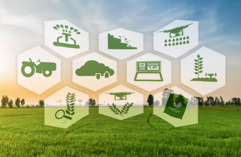 振興鄉村：大力發展智慧農業，智慧農業迎來春天