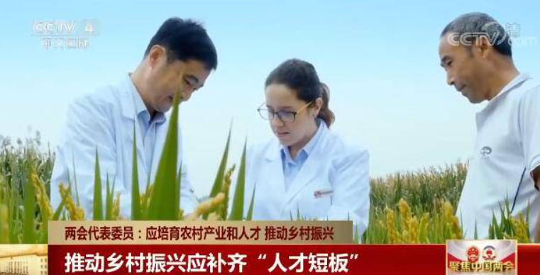 鄉村振興缺人才,加強推進人才走進鄉村