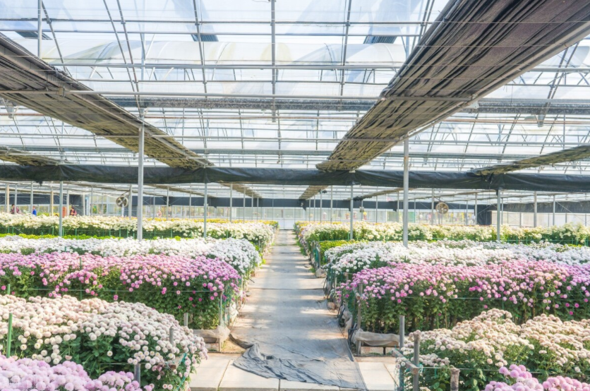 智慧農業未來:物聯網+農業:連接性如何改變農業