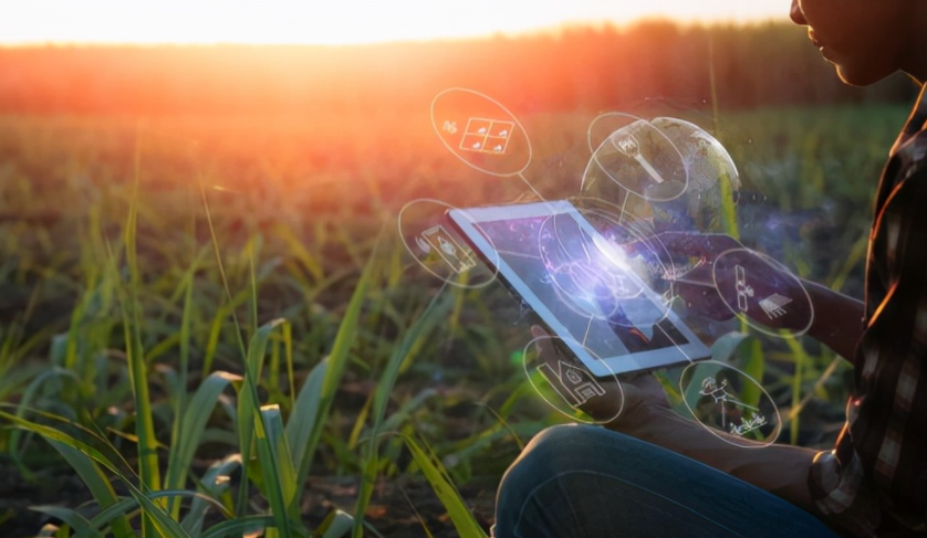 「國(guó)際視野」農(nóng)業(yè)機(jī)器人助力自動(dòng)化種植與生產(chǎn)