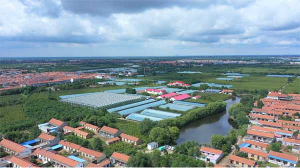 齊魯靈秀地 品牌農產品:智慧大棚里的沾化冬棗