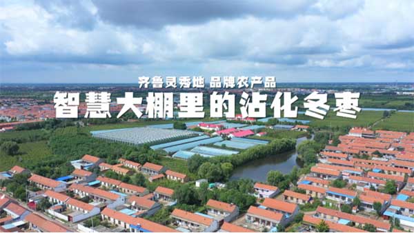 齊魯靈秀地 品牌農產品:智慧大棚里的沾化冬棗