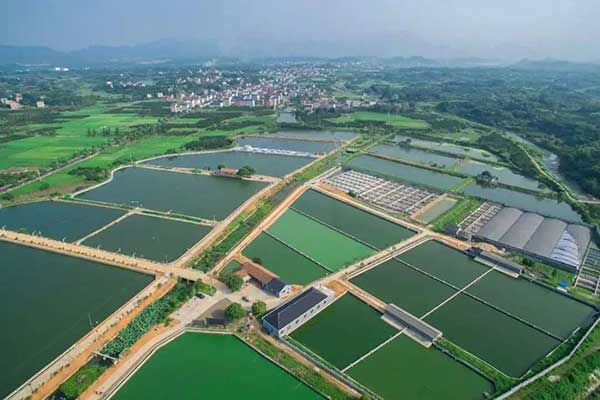 大地量子 &ldquo;數字地球PaaS平臺&rdquo; 被評為2021數字鄉村大腦十強