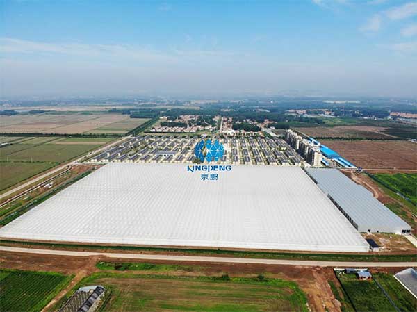 引領行業技術創新“京鵬智造”結碩果 ——專訪京鵬科技總工程師:周增產