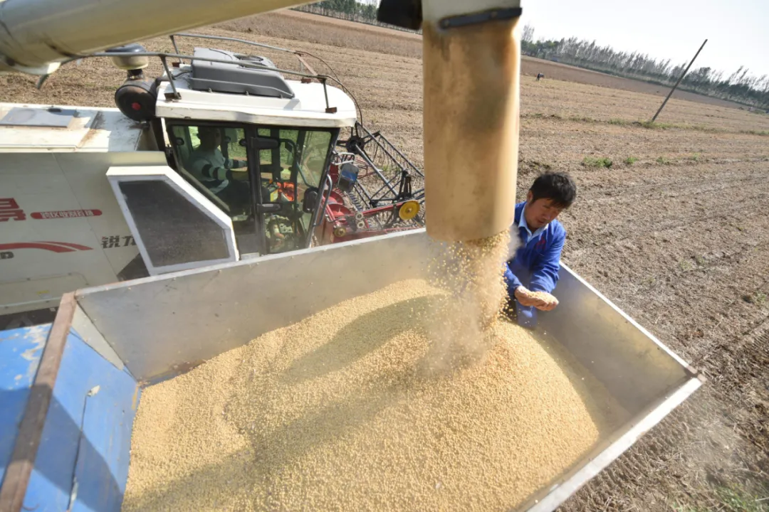 張合成:建立農(nóng)業(yè)科技優(yōu)先發(fā)展的政策體系