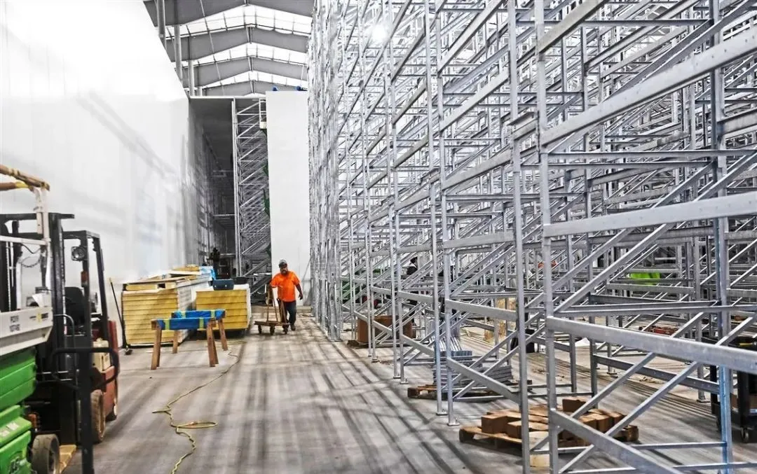 垂直農(nóng)業(yè)領(lǐng)域的“泡沫”要爆?