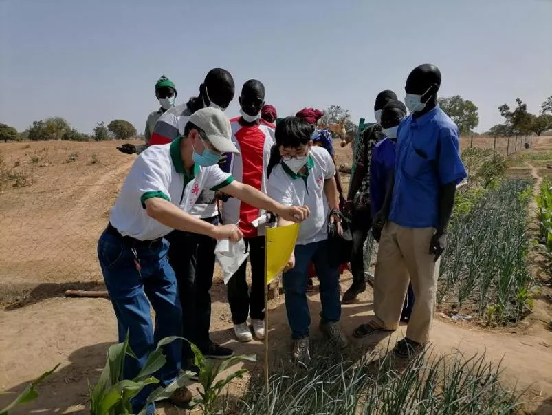 糧食產(chǎn)量高，生活有余裕&mdash;&mdash;中國(guó)專家在布開展水稻高產(chǎn)競(jìng)賽和蔬菜種植培訓(xùn)