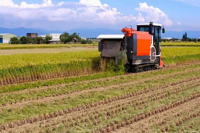 溫鐵軍:中國農業(yè)4.0時代,家庭農場、小農戶仍然是發(fā)展的趨勢