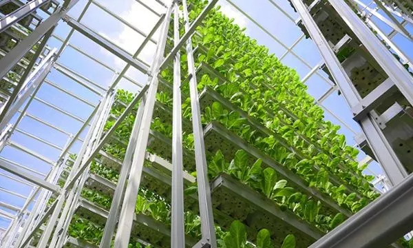 新加坡農業：5大創新玩法，中國農業值得借鑒