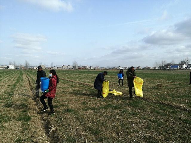 江蘇濱海:農業生產正當時虎力全開備春耕